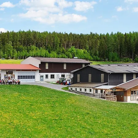 Ramswirt Affittacamere Kirchberg am Wechsel